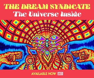 The Dream Syndicate The Universe Inside Available now on Anti Records